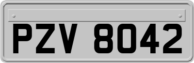 PZV8042