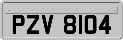 PZV8104