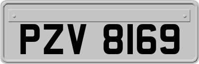 PZV8169