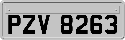 PZV8263