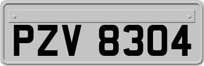 PZV8304