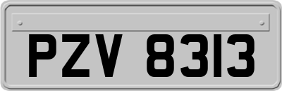 PZV8313