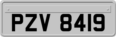 PZV8419