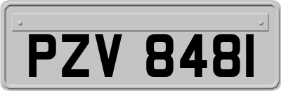 PZV8481