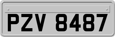 PZV8487