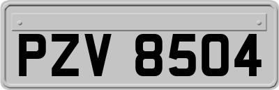 PZV8504