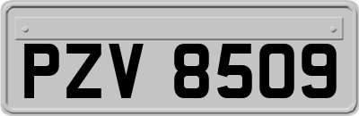 PZV8509