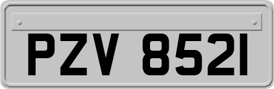 PZV8521