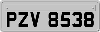 PZV8538