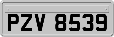 PZV8539