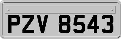 PZV8543