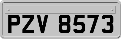 PZV8573