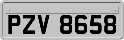 PZV8658