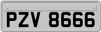 PZV8666