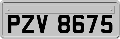 PZV8675