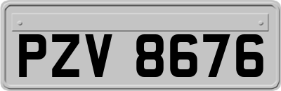 PZV8676