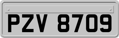 PZV8709