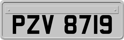 PZV8719