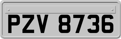 PZV8736