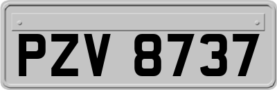 PZV8737