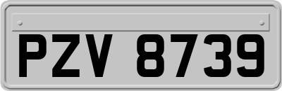 PZV8739