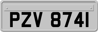 PZV8741