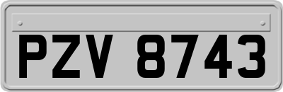 PZV8743