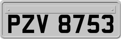 PZV8753