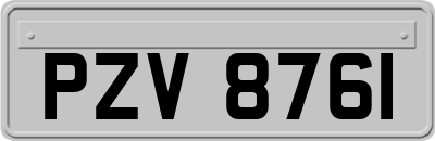 PZV8761