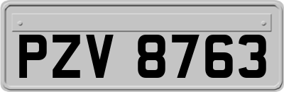 PZV8763