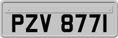 PZV8771