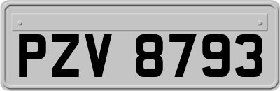 PZV8793