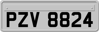 PZV8824