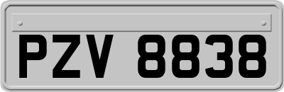 PZV8838