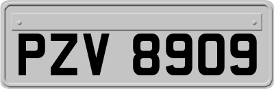 PZV8909