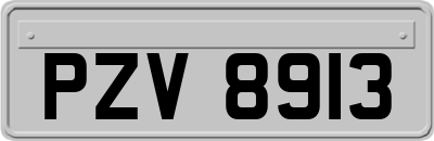 PZV8913