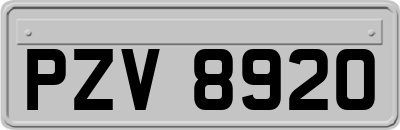 PZV8920