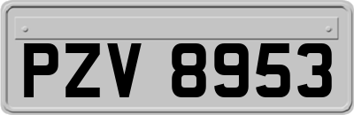 PZV8953