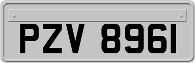 PZV8961