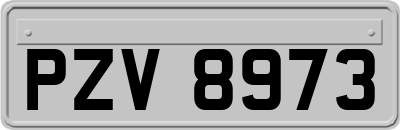 PZV8973