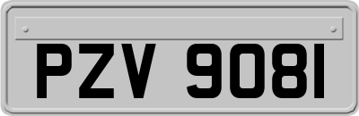 PZV9081