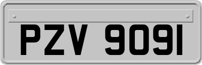 PZV9091