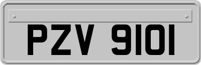 PZV9101