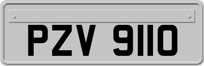 PZV9110