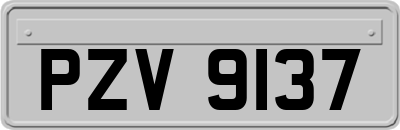 PZV9137