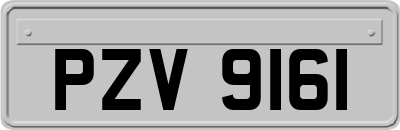 PZV9161