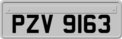 PZV9163