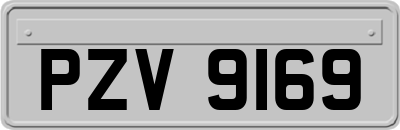 PZV9169