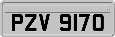 PZV9170