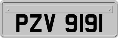 PZV9191